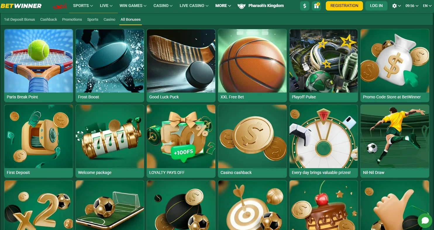 BetWinner interface and user experience