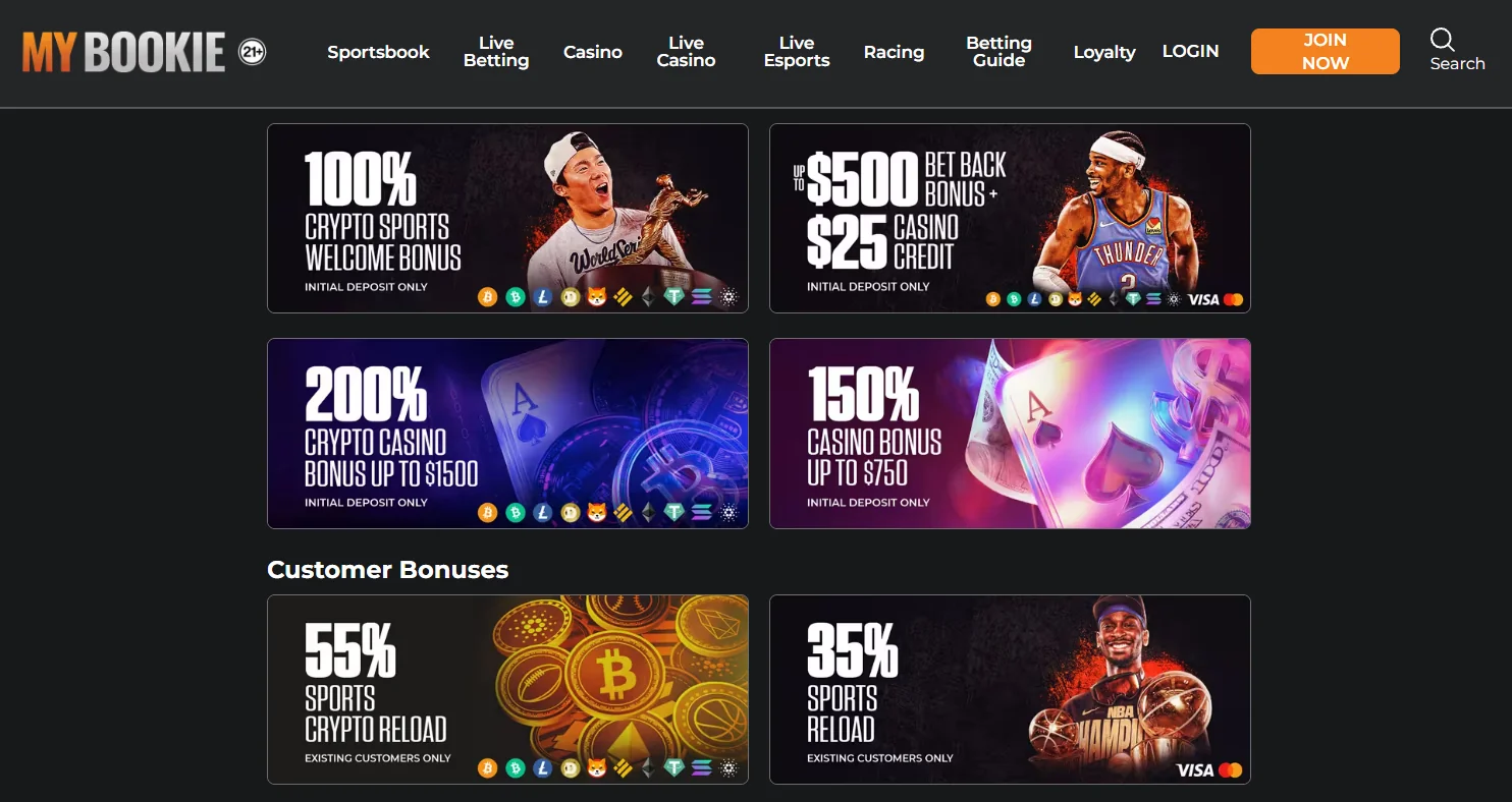 MyBookie interface and user experience